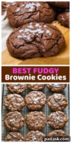 Decadent Fudgy Brownie Cookies 12 Fudgy Brownie Cookies