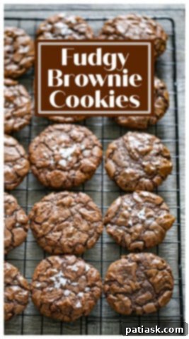 Decadent Fudgy Brownie Cookies 14 Fudgy Brownie Cookies