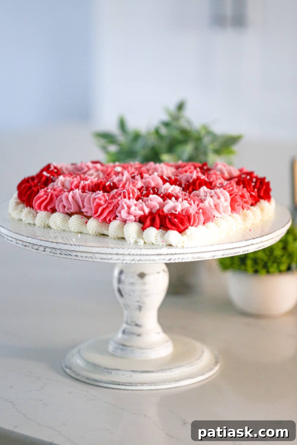 Heart-Shaped Valentine's Day Cake