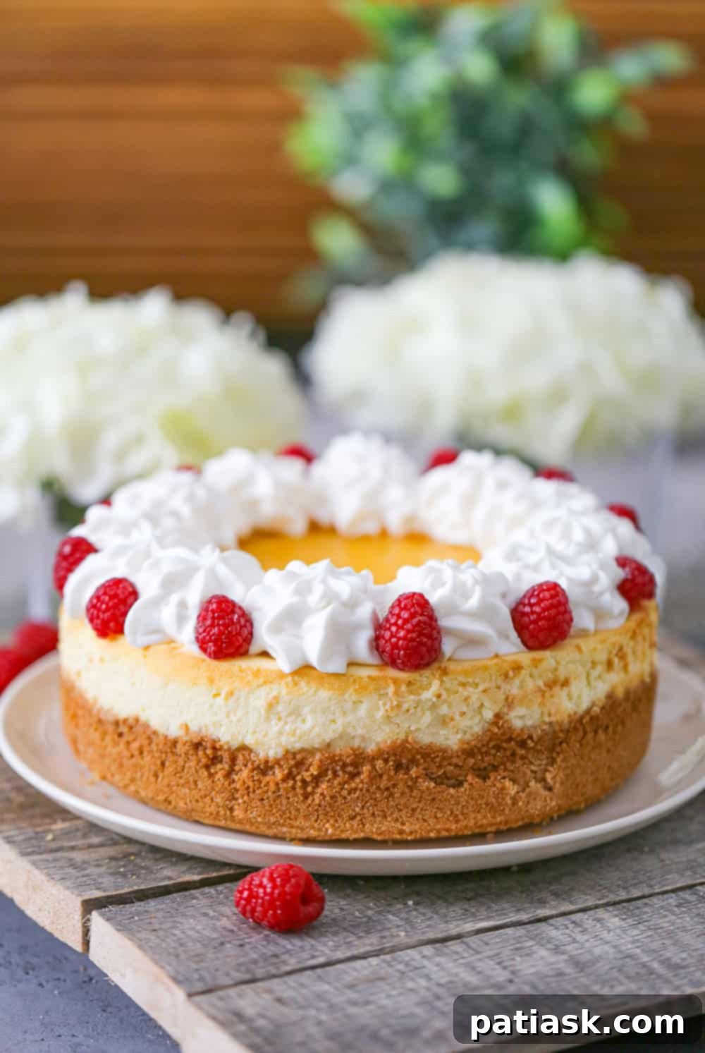 Zesty Cloud of Bliss 7 best lemon cheesecake