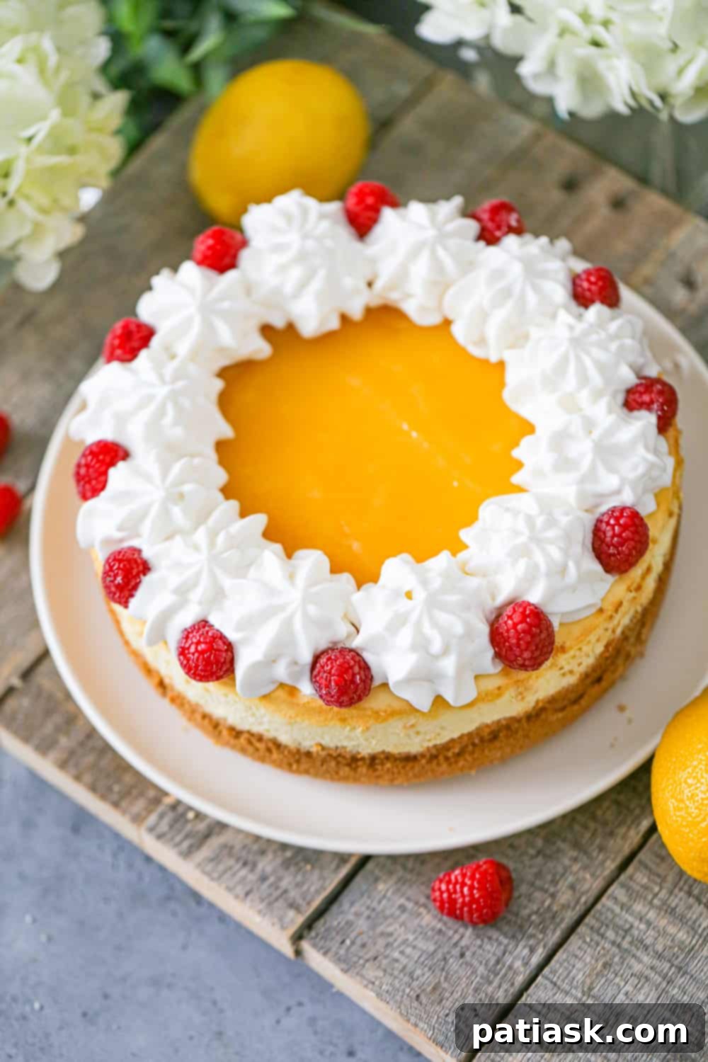 Zesty Cloud of Bliss 8 Best Lemon Cheesecake