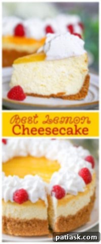 Zesty Cloud of Bliss 10 Best Lemon Cheesecake