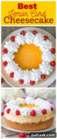 Zesty Cloud of Bliss 11 Best Lemon Cheesecake