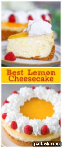 Zesty Cloud of Bliss 12 Best Lemon Cheesecake