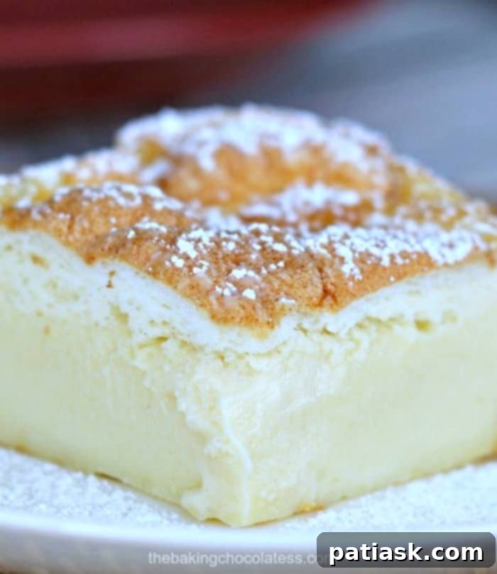 Vanilla's Layered Custard Dream 2 A slice of Very Vanilla Magic Custard Cake showing its three distinct layers, served on a white plate