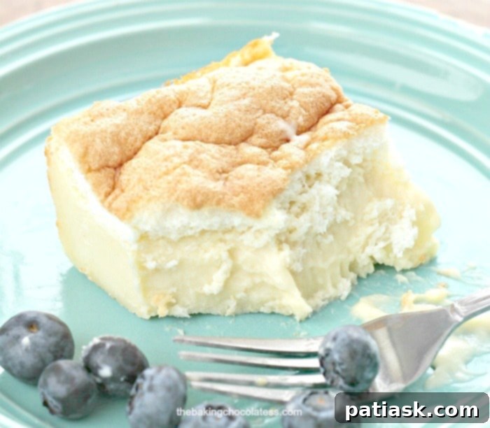 Vanilla's Layered Custard Dream 6 A slice of Very Vanilla Magic Custard Cake on a plate, garnished with fresh raspberries and mint