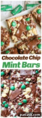 Mint Chocolate Chip Bars 9 Chocolate Chip Mint Bars
