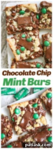 Mint Chocolate Chip Bars 10 Chocolate Chip Mint Bars