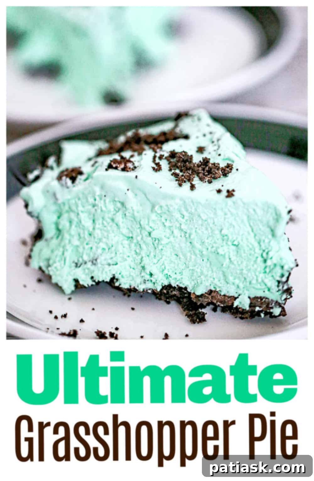 Overhead view of a full Grasshopper Pie with generous topping