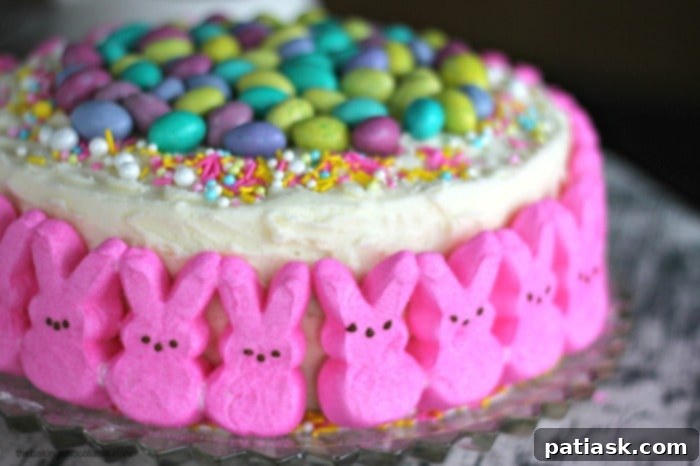 A beautifully decorated Easter Bunny Cake ready to be served