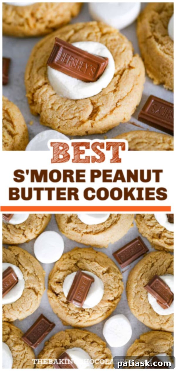 peanut butter cookies s'mores recipe