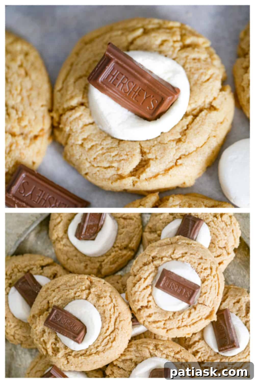 Ultimate Smore Peanut Butter Cookies 16 peanut butter cookies s'mores recipe