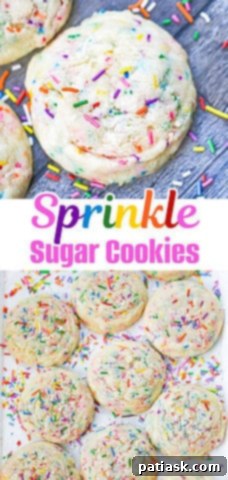 Close-up of a sprinkle sugar cookie with colorful jimmies
