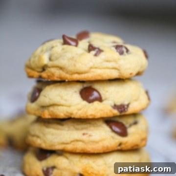 Ultimate Chocolate Chip Cookies 9 Best Chocolate Chip Cookie Recipe
