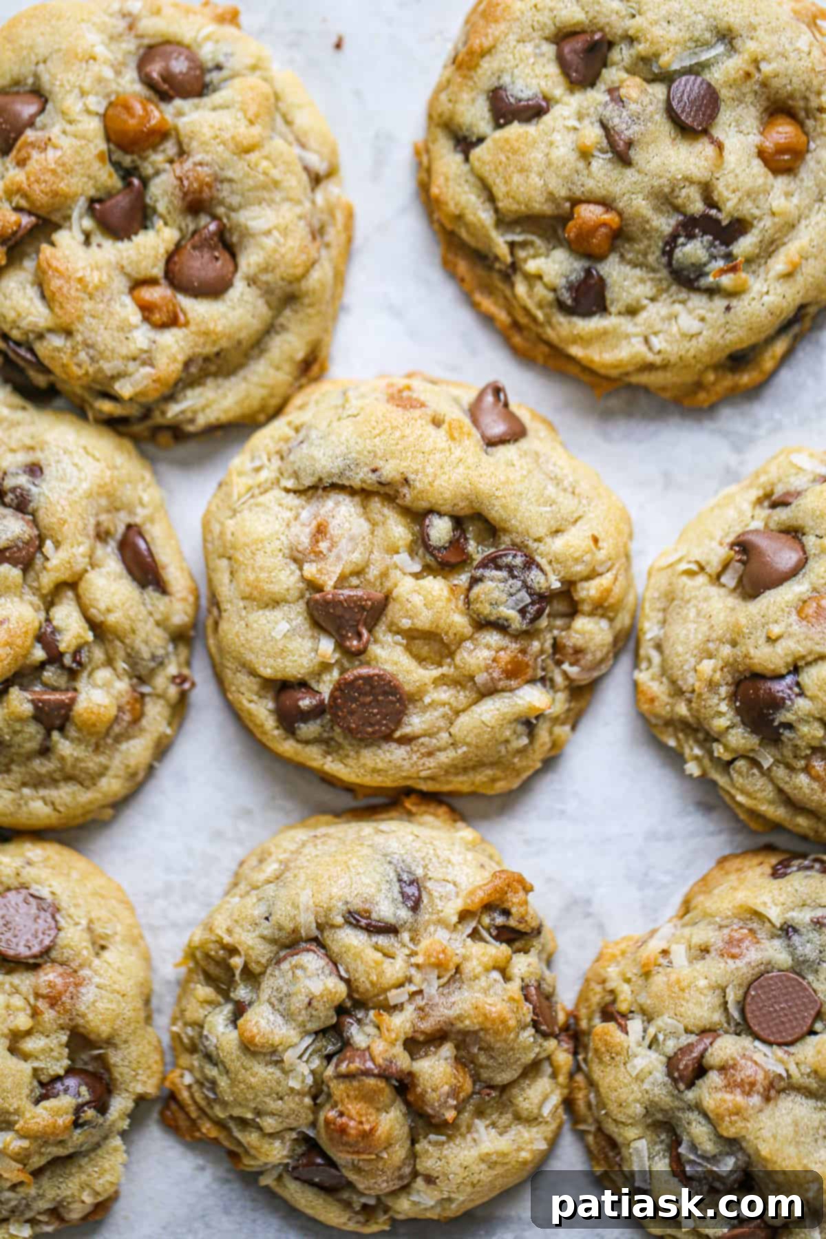 Decadent Samoa Chocolate Chip Delights 5 Samoa chocolate chip cookies cooling on a baking tray