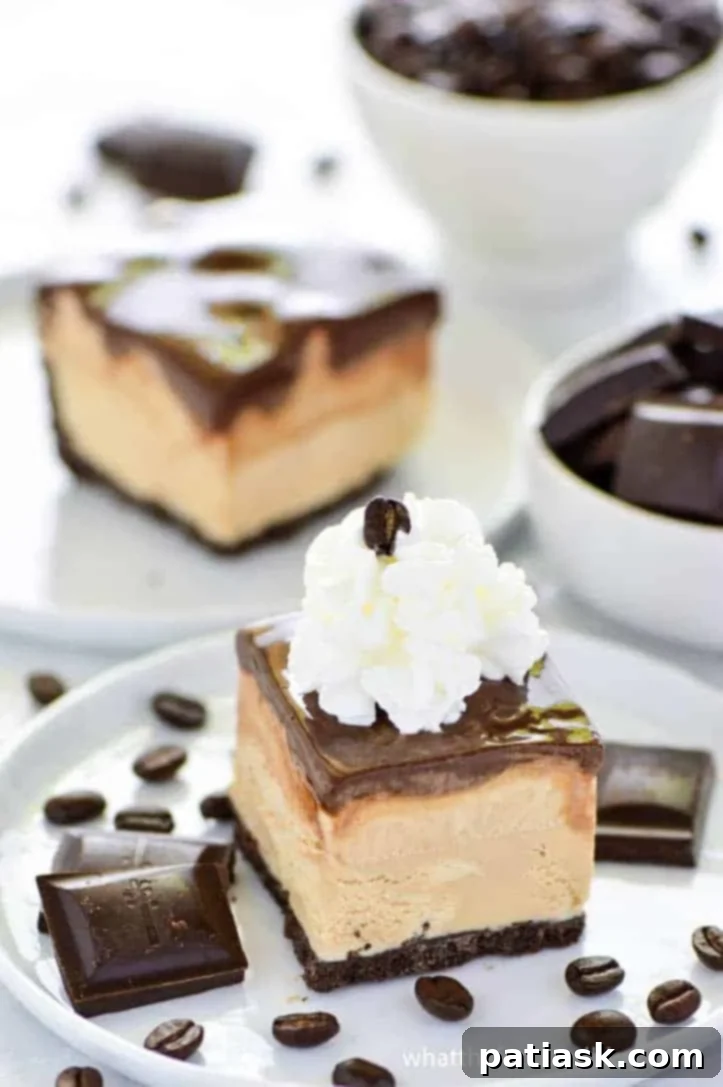 50 Sublime Ice Cream Treats to Savor This Summer 10 A slice of Gluten-Free Mud Pie with an Oreo crust, coffee ice cream, and chocolate fudge sauce.