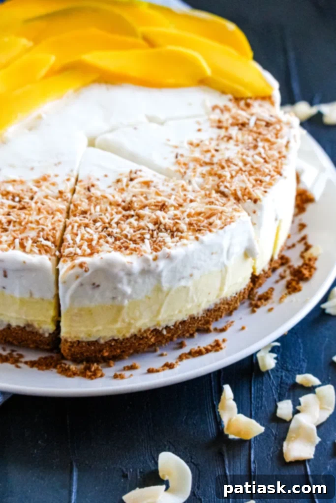 50 Sublime Ice Cream Treats to Savor This Summer 11 A refreshing Coconut-Mango Ice Cream Pie, perfect for warm weather.