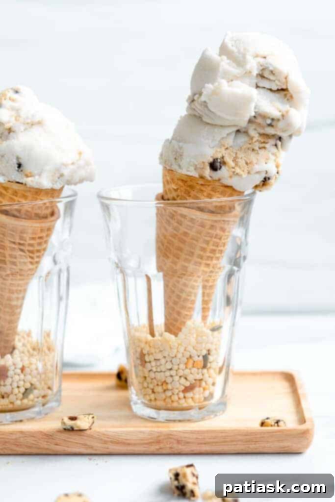 50 Sublime Ice Cream Treats to Savor This Summer 13 Homemade vegan cookie dough ice cream made with a coconut milk base and loaded with cookie dough chunks.