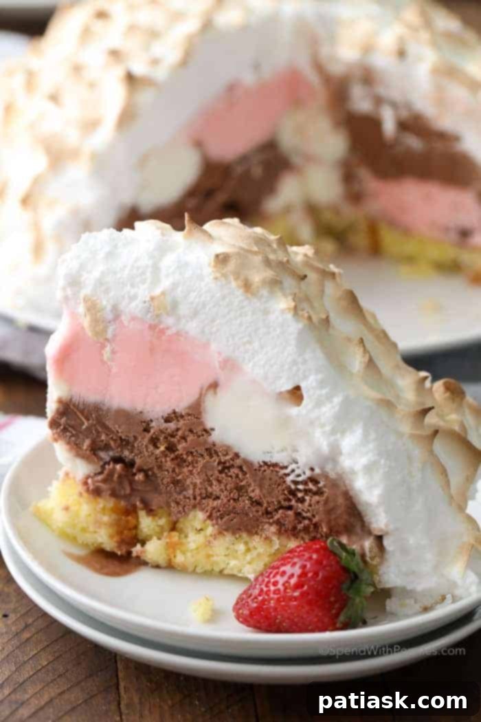 50 Sublime Ice Cream Treats to Savor This Summer 18 Baked Alaska with ice cream and pound cake wrapped in golden-brown meringue.