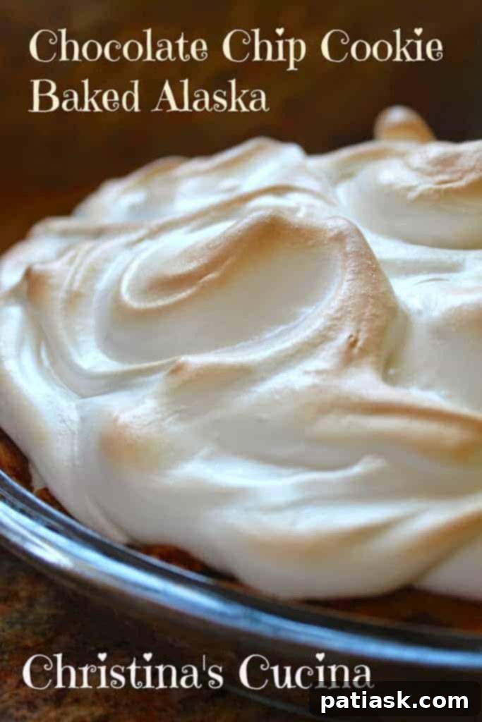 50 Sublime Ice Cream Treats to Savor This Summer 35 Chocolate Chip Cookie Baked Alaska Pie with a cookie base and vanilla ice cream filling.