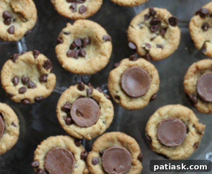 Sweet and Salty ROLO Mousse Cookie Bombs 6 Salted Caramel Mousse ROLO Cookie Cups