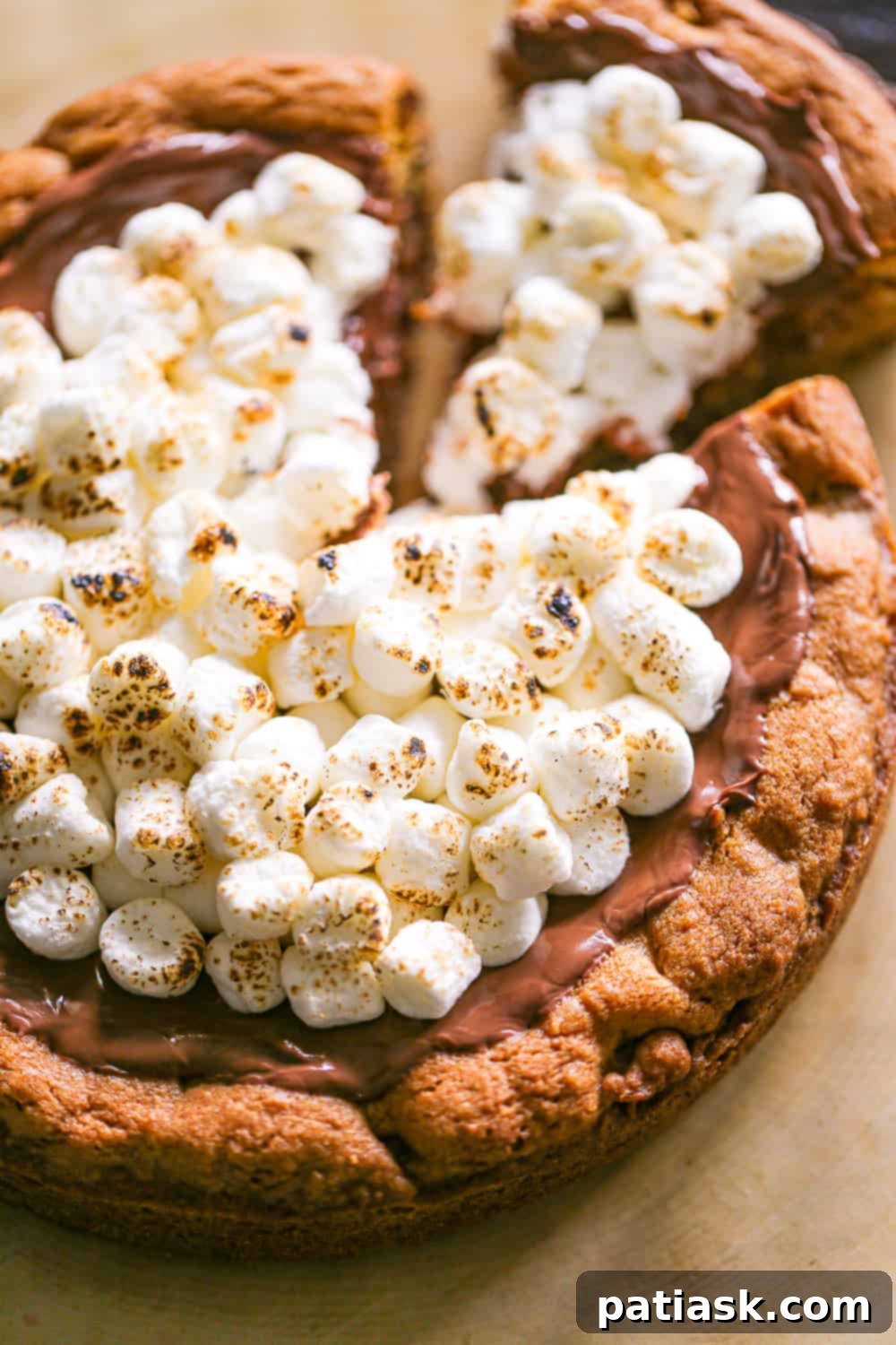 S'mores Cookie Cake 2 Gooey S'mores Cookie Cake with melted chocolate and toasted marshmallows