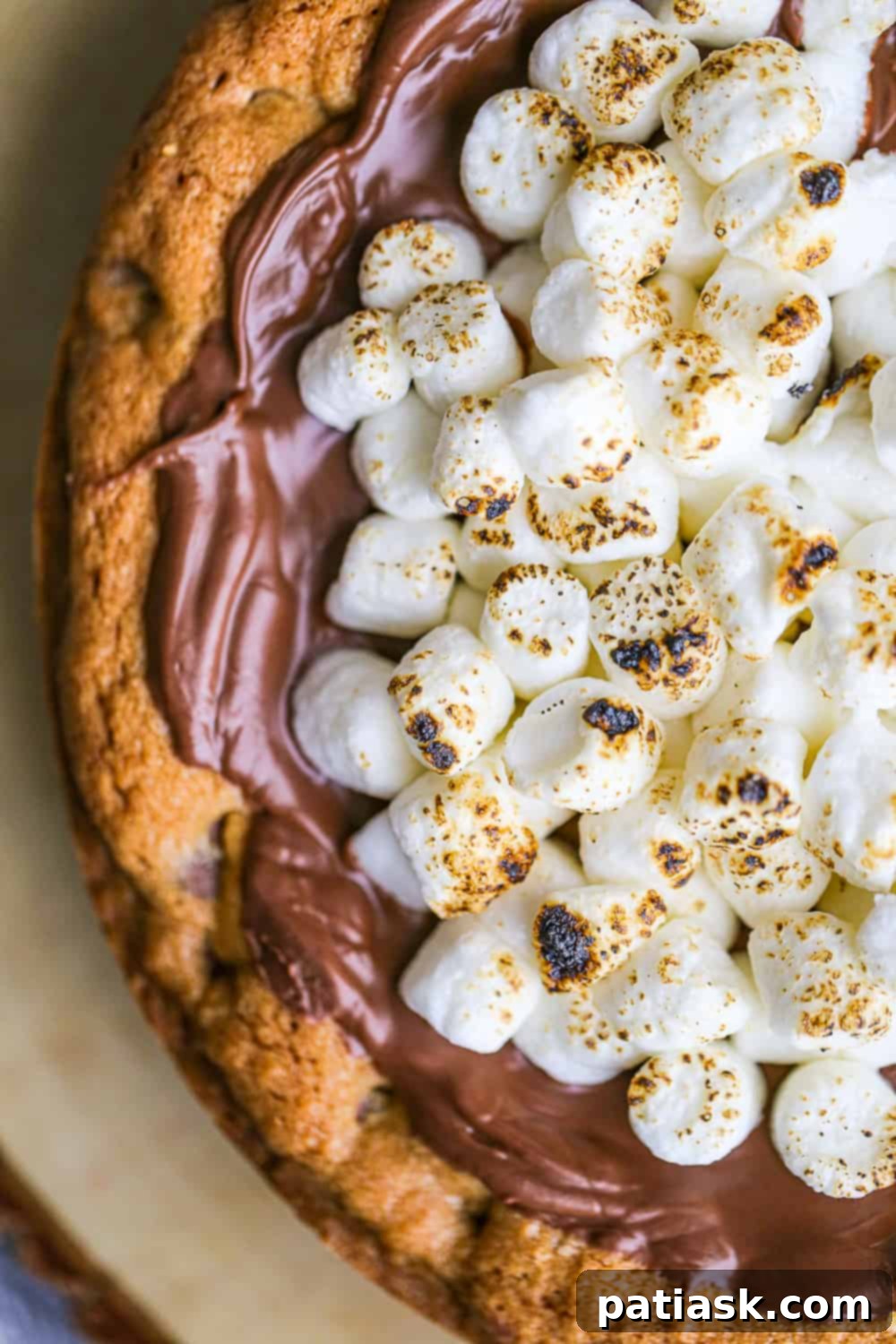 S'mores Cookie Cake 7 Close-up of the delicious S'mores Cookie Cake