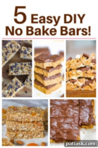 5 Easy No-Bake Bar Recipes 6 Delicious 5 DIY No Bake Bars for any occasion