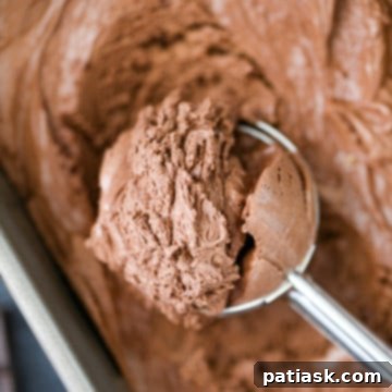 Decadent No-Churn Chocolate Ice Cream 8 Best No Churn Chocolate Ice Cream, a creamy chocolate ice cream in a loaf pan
