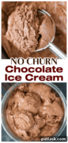 Decadent No-Churn Chocolate Ice Cream 9 Best No Churn Chocolate Ice Cream