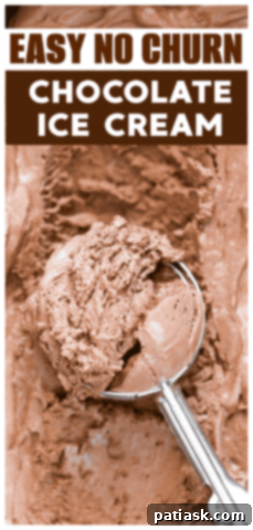 Decadent No-Churn Chocolate Ice Cream 10 Best No Churn Chocolate Ice Cream recipe