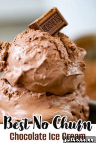 Decadent No-Churn Chocolate Ice Cream 11 Best No Churn Chocolate Ice Cream