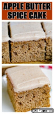 Apple Butter Spice Cake pinterest