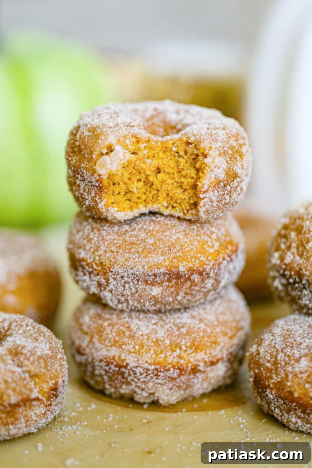 best pumpkin cake donuts with cinnamon sugar