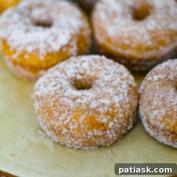 best pumpkin cake donuts with cinnamon sugar