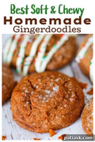 Ginger Zingers 11 A plate of freshly baked gingerdoodle cookies