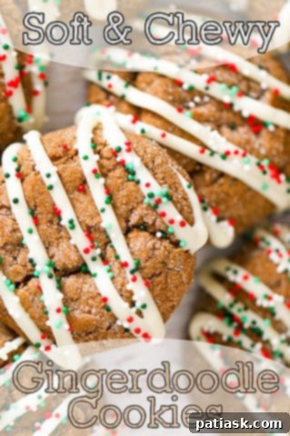 Ginger Zingers 13 Delicious gingerdoodle cookies recipe ready to serve