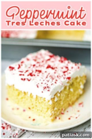 Peppermint Tres Leches Cake, side view