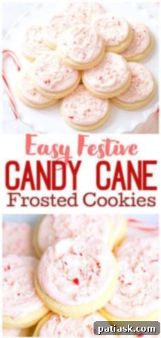 Peppermint Swirl Cookies 9 Candy Cane Sugar Cookies!