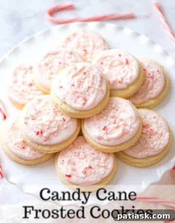 Peppermint Swirl Cookies 10 peppermint dessert