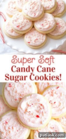 Peppermint Swirl Cookies 11 Candy Cane Sugar Cookies!