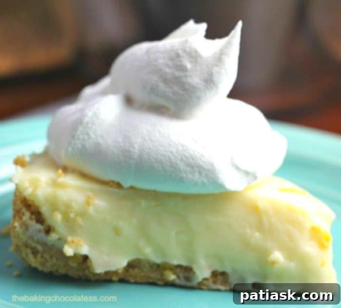 25 Heavenly Summer Desserts 23 Luscious Lemon Sour Cream Pie, with a golden crust and a smooth, yellow filling.