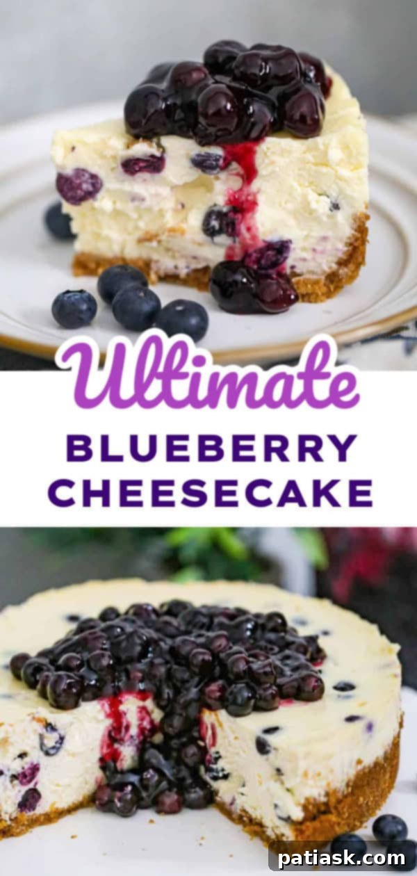 Irresistible Blueberry Cheesecake Perfection 10 Ultimate Blueberry Cheesecake