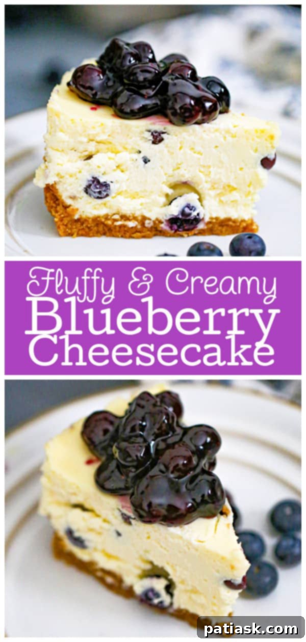 Blueberry Cheesecake