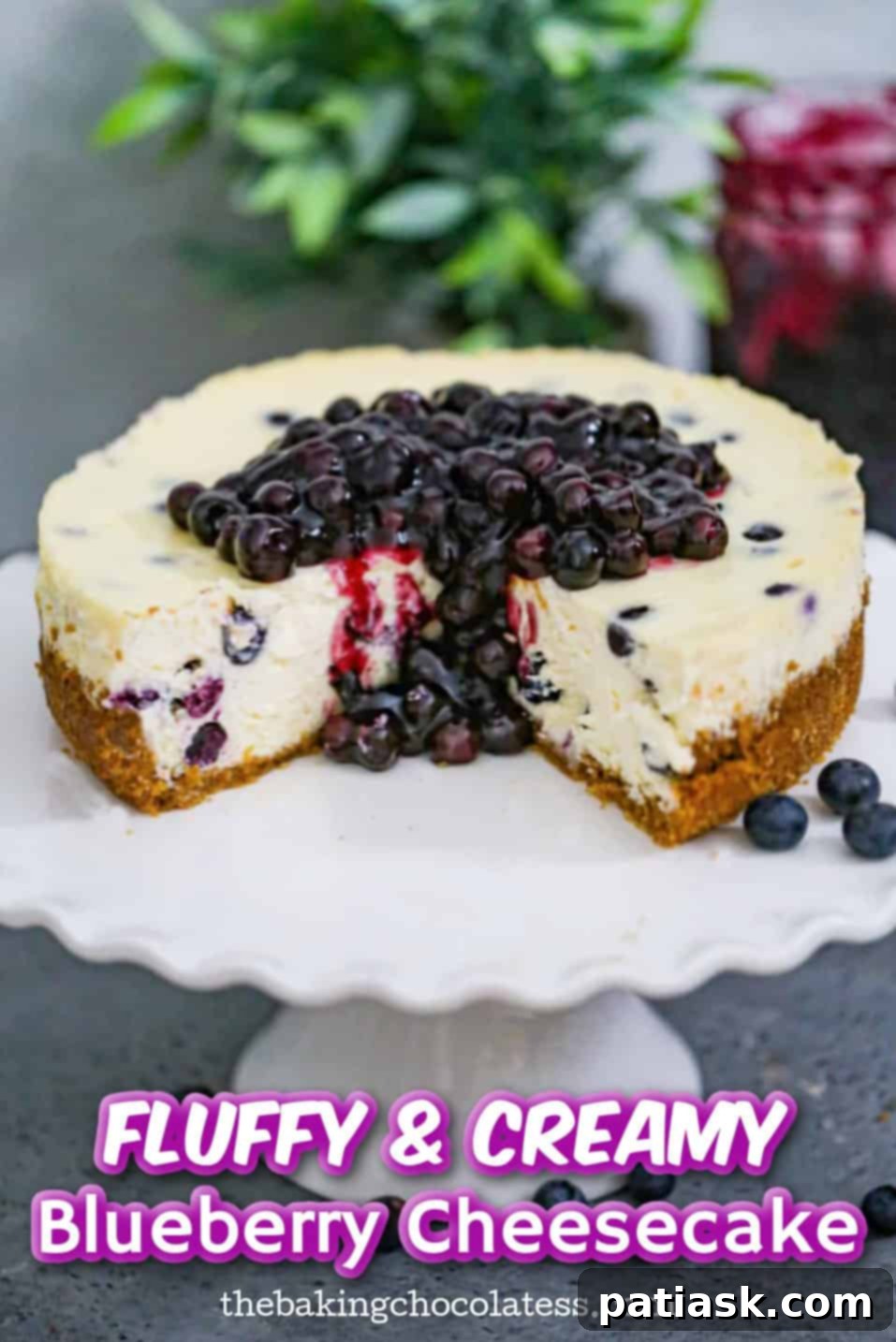 Irresistible Blueberry Cheesecake Perfection 14 Blueberry Cheesecake