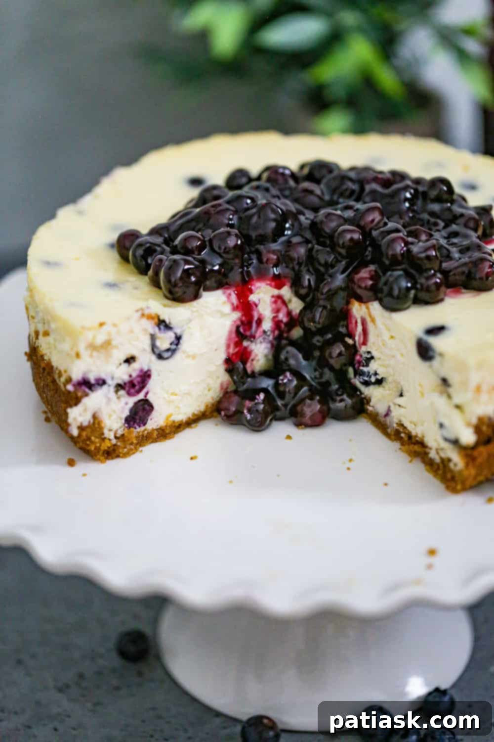 Irresistible Blueberry Cheesecake Perfection 3 img 209325 2