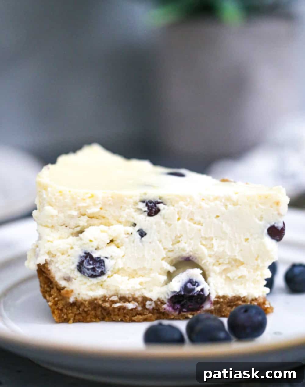 Irresistible Blueberry Cheesecake Perfection 4 Ultimate Blueberry Cheesecake Recipe