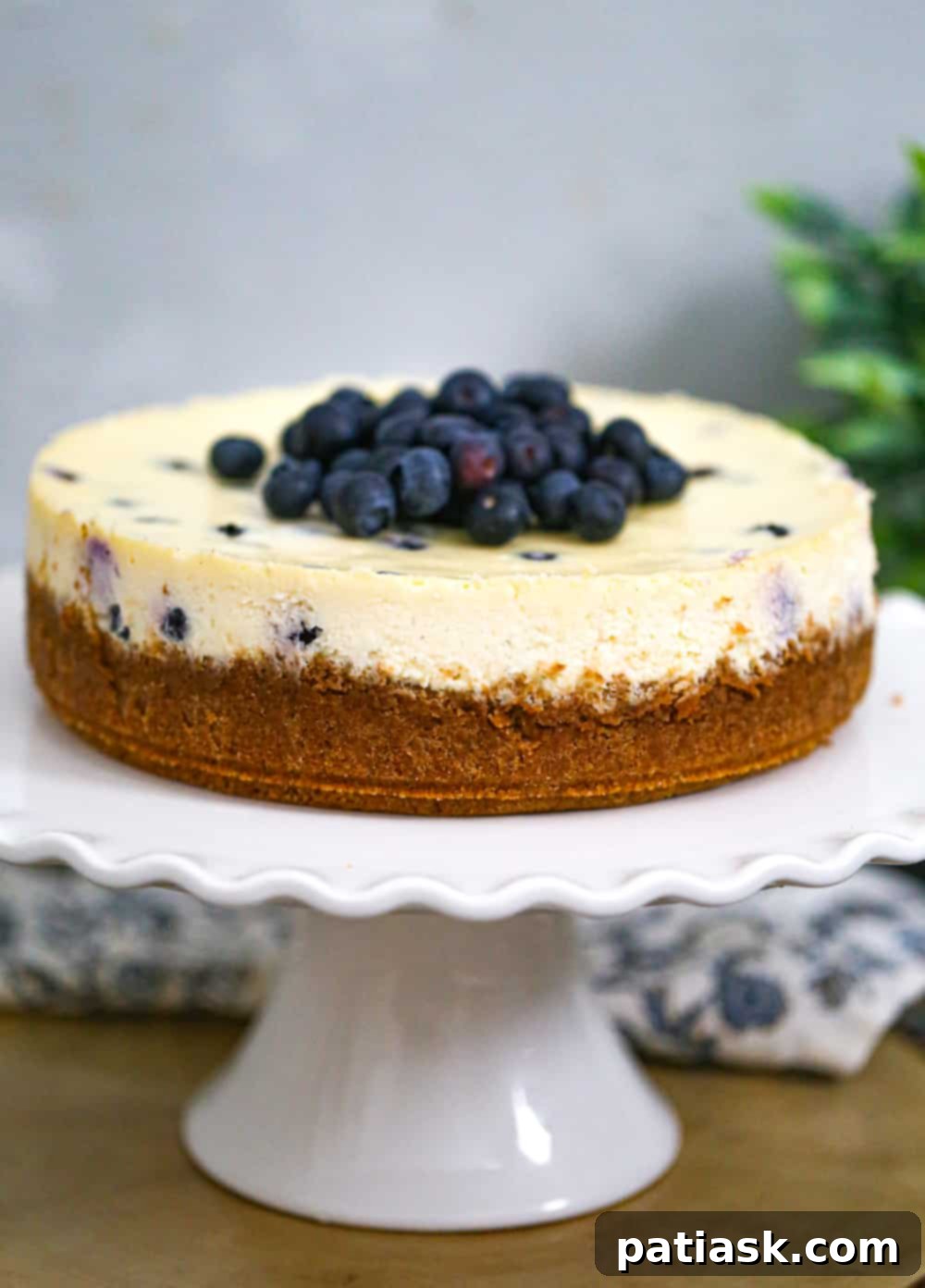 Irresistible Blueberry Cheesecake Perfection 5 Fluffy & Creamy best cream cheese dessert with fruit Recipe