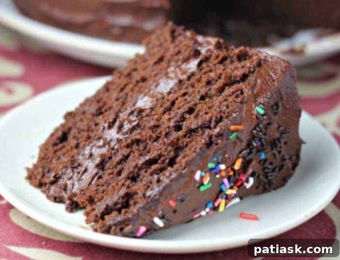 Chocolate Essentials for True Chocoholics 3 Super Moist Chocolate Cake with Chocolate Buttercream Frosting, a classic dessert