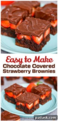 Strawberry Crowned Chocolate Brownies 8 sweet baked treat